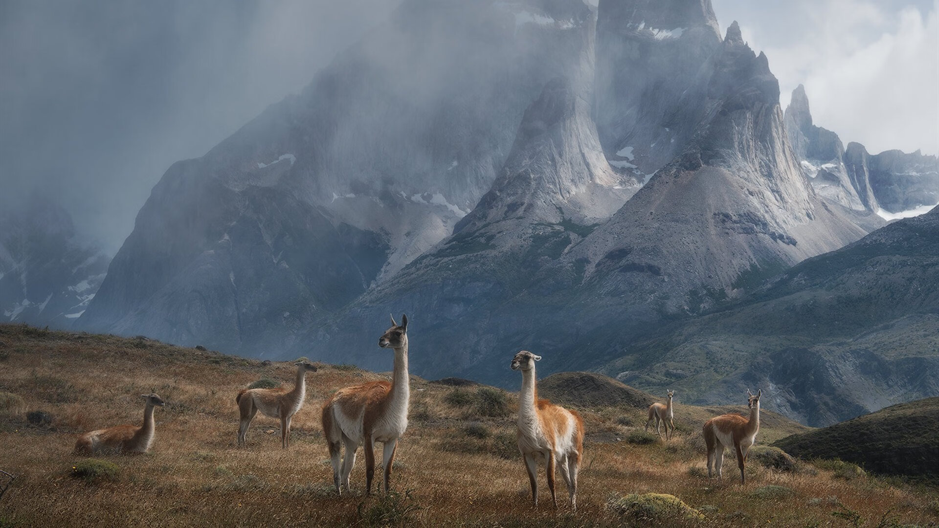 跨界巅峰对决,塞内加尔在NBA季后赛式焦点战中压哨绝杀罗马