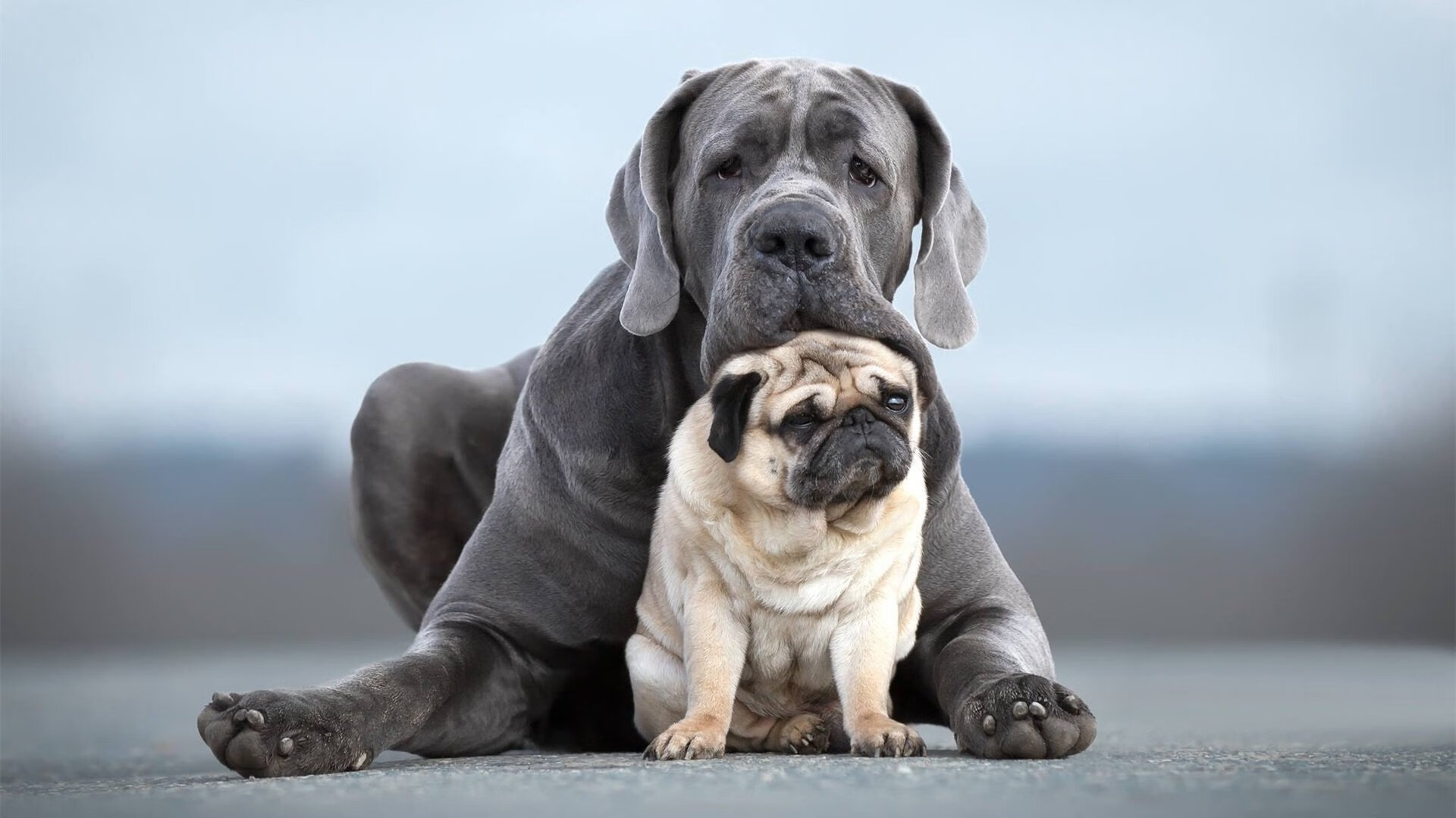 火线复出！格纳布里引爆关键战，皇家社会借巴拉圭式铁血突围