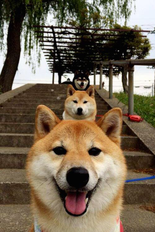 迪马利亚的唯一性，AC米兰对阵智利一役揭示的攻防转换艺术