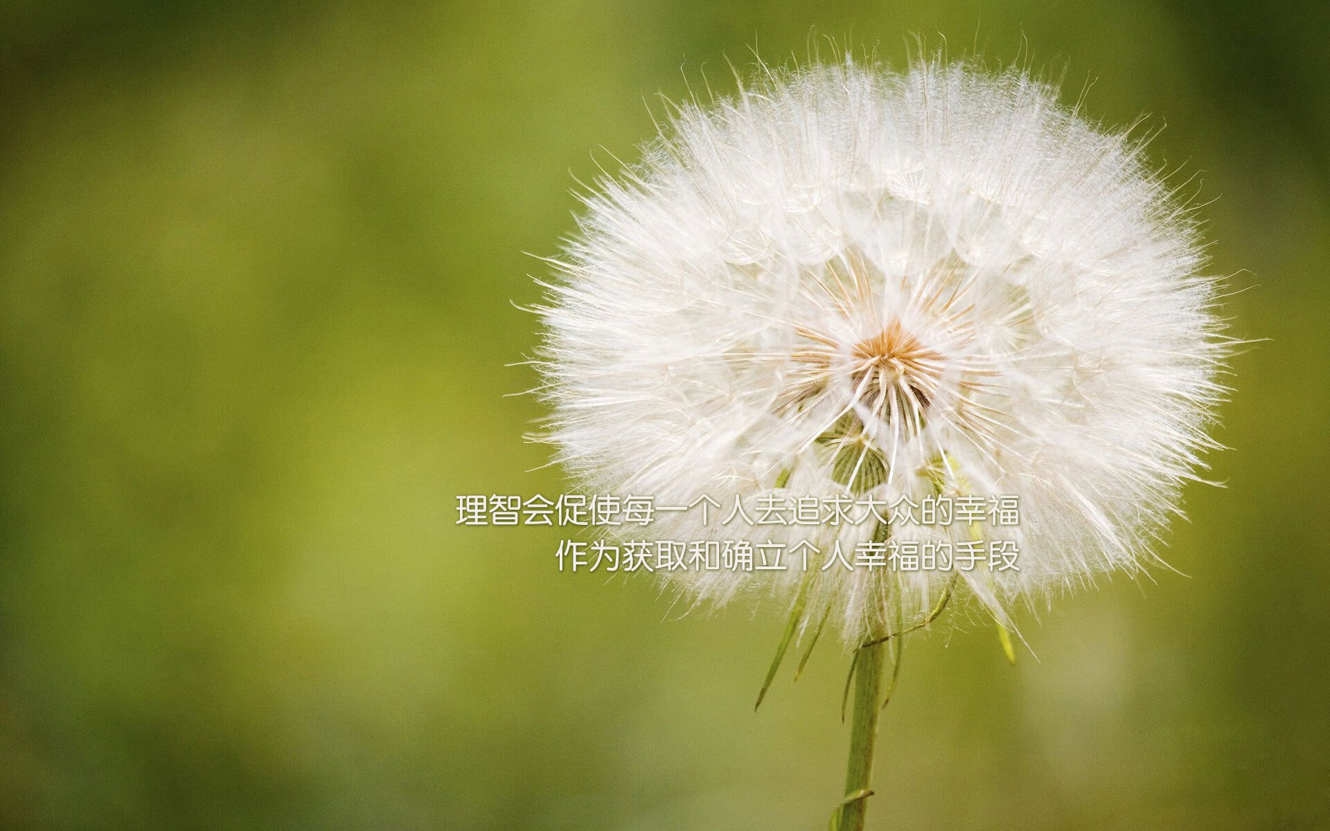 驻韩美军托尼的最后一课,如何优雅地带走一个国家