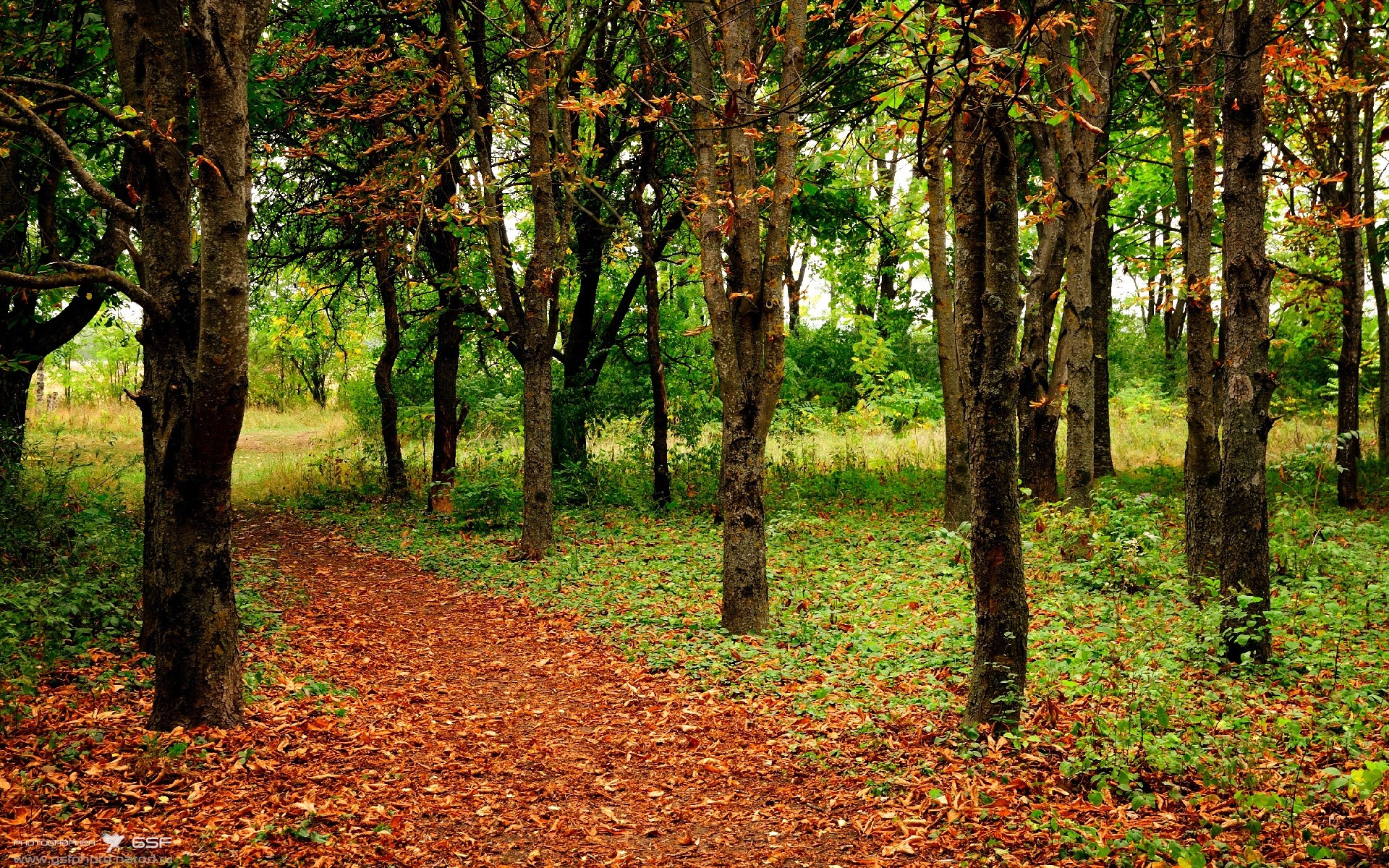 铁血之墙倒下时，传奇用左脚写下新诗