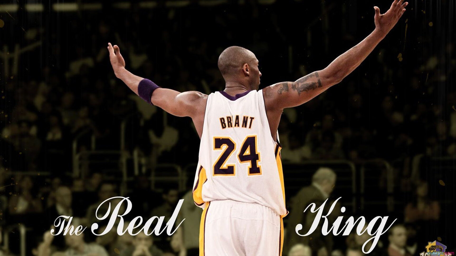 冰火两重天,广厦爆冷背后的警示与布伦森的实力宣言