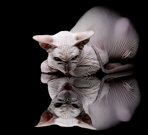 血色抢七，火箭与步行者的永恒炼狱