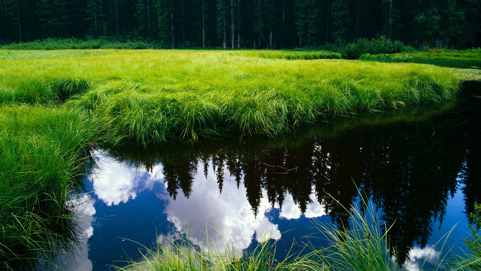 终极答案，当阿劳霍在半决赛画下现代足球的唯一解