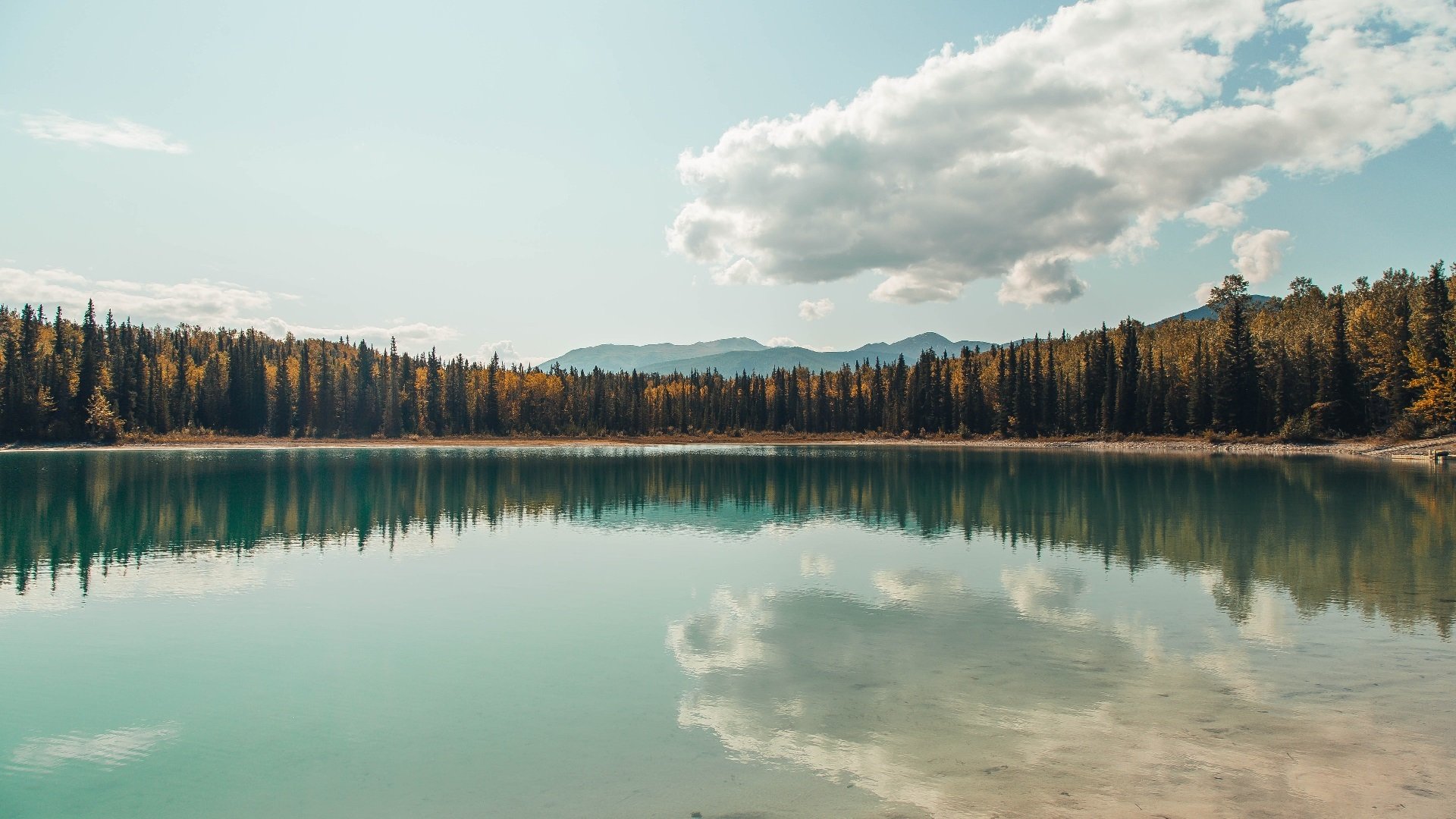 当数据哑火时，范弗利特用另一种爆发完成上海队的逆袭