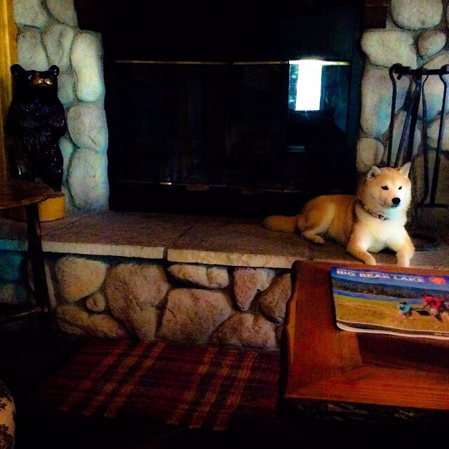 两种心跳,一种回响,当范弗利特登陆英超争冠之夜