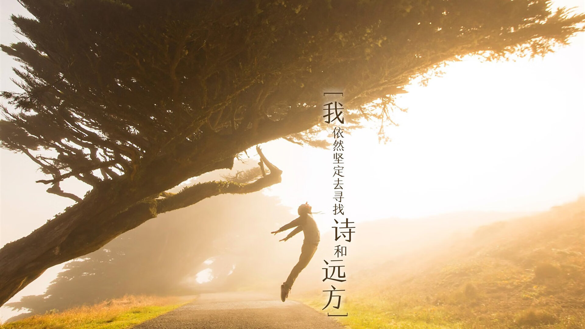 最后3.8秒的沉默与尖叫，塔图姆一剑封喉，鹈鹕险胜火箭背后的生死博弈